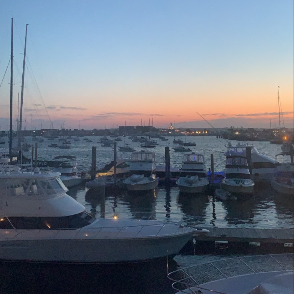 Meet your Posher, Jenny